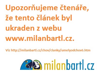 Milan Bartl s mláďaty kakadu inka