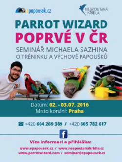 Parrot Wizard poprv v R!