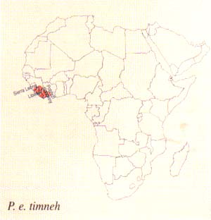 Mapa rozen P. e. timneh