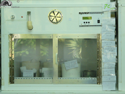 Inkubátor v Baby Station v Loro Parque na Tenerife