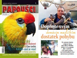 Dopejte svm domcm mazlkm dostatek pohybu