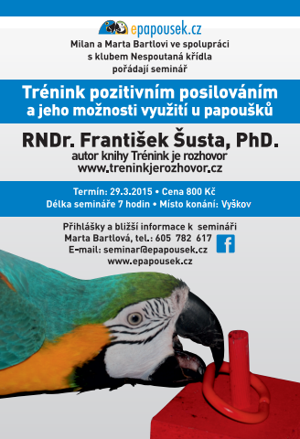 Trnink pozitivnm posilovnm