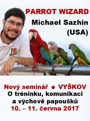 Parrot Wizard znovu v ČR