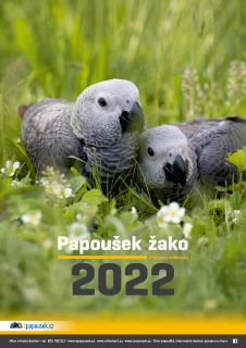 Nástěnný kalendář Papoušek žako 2022