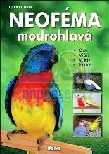 Kniha Neof�ma modrohlav�