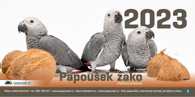 Stoln kalend Papouek ako 2023