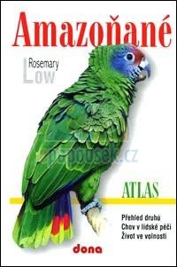 Kniha Amazo�an�