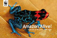 Origin�l zpr�vy Origin�l zpr�vy "Amazonia alive" ke sta�en� ve form�tu PDF